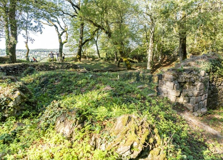 Visite guidée “A la découverte de la Citadelle de Champtoceaux”
