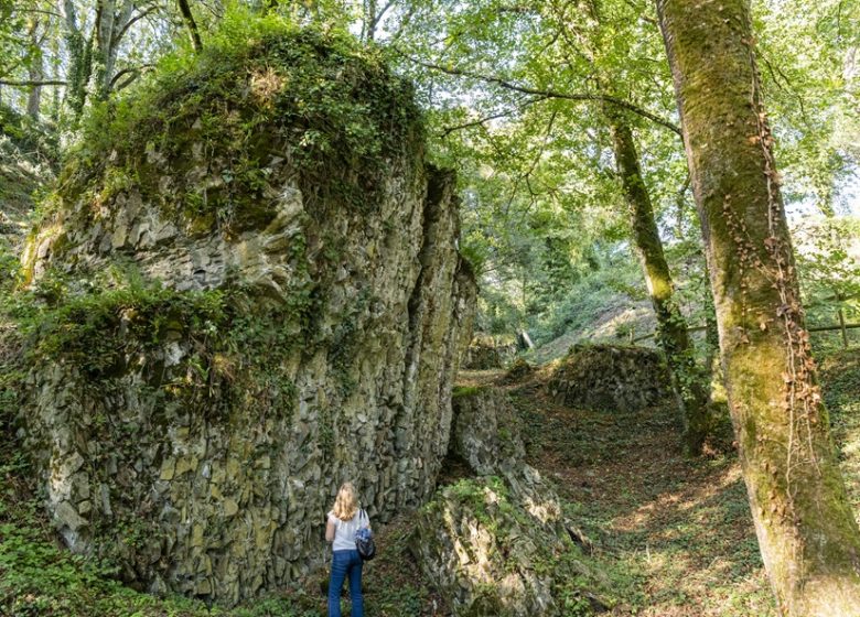 Vestiges de la Citadelle de Champtoceaux
