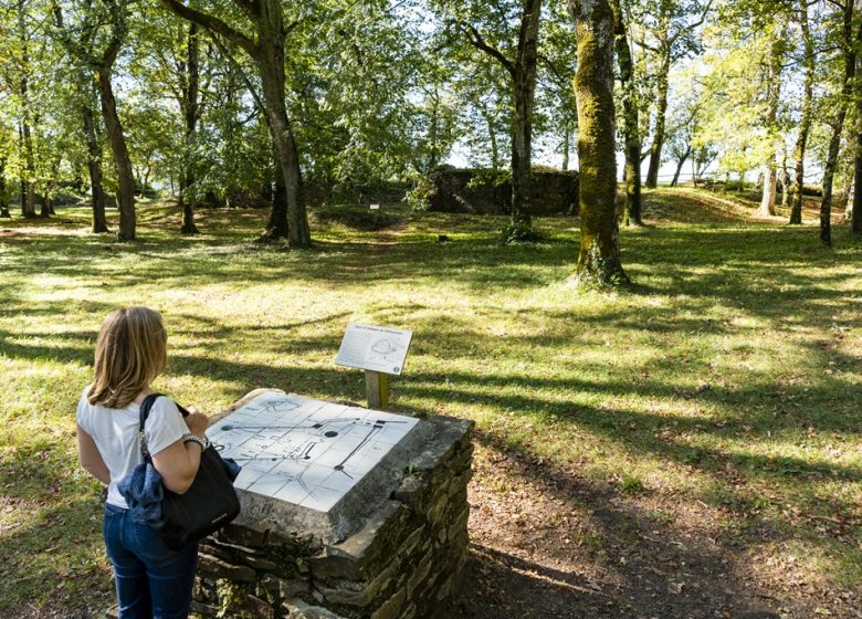 Vestiges de la Citadelle de Champtoceaux