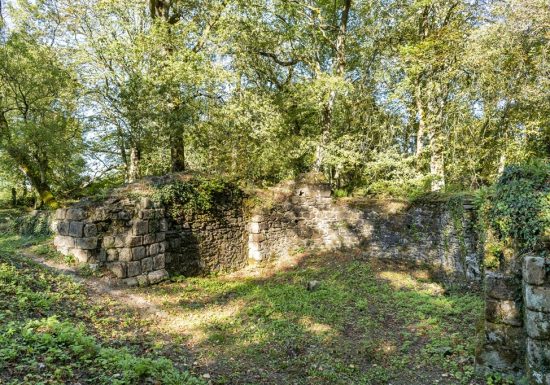 Excursion commentée : à la recherche des vestiges de la citadelle de Champtoceaux