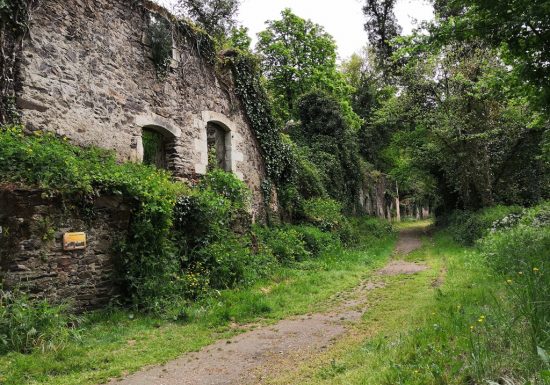 Balade “Découverte du site de Courossé”