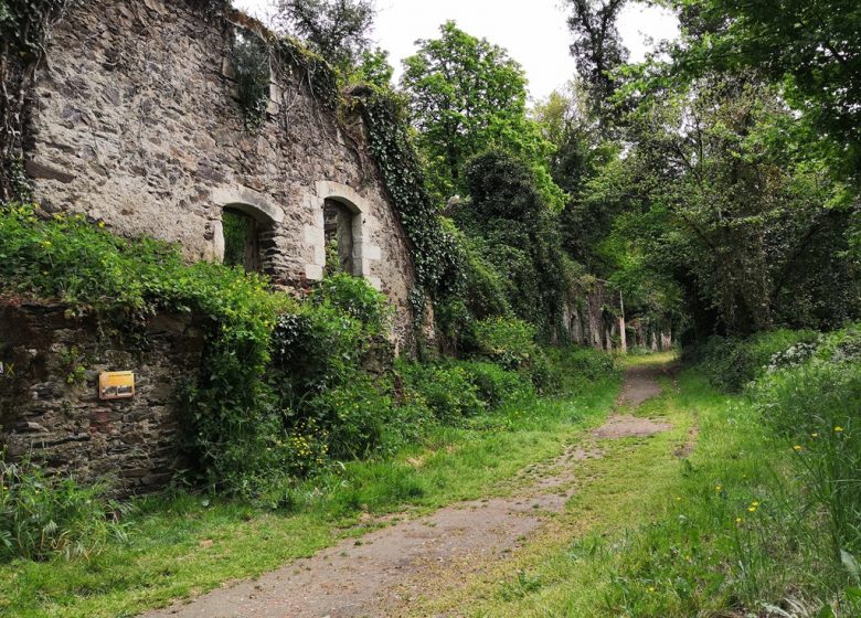 Balade “Découverte du site de Courossé”