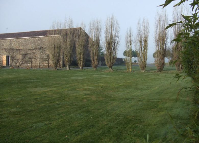 Salle de réception de la Tournerie