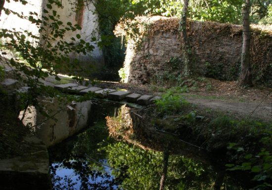 Randonnée “Les coteaux de la Sanguèze”