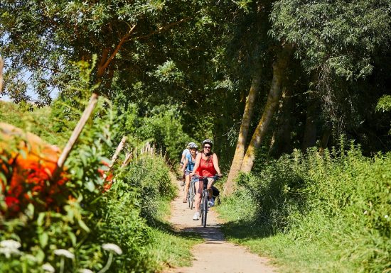 La Loire à Vélo, de Champtoceaux à Mauves-sur-Loire