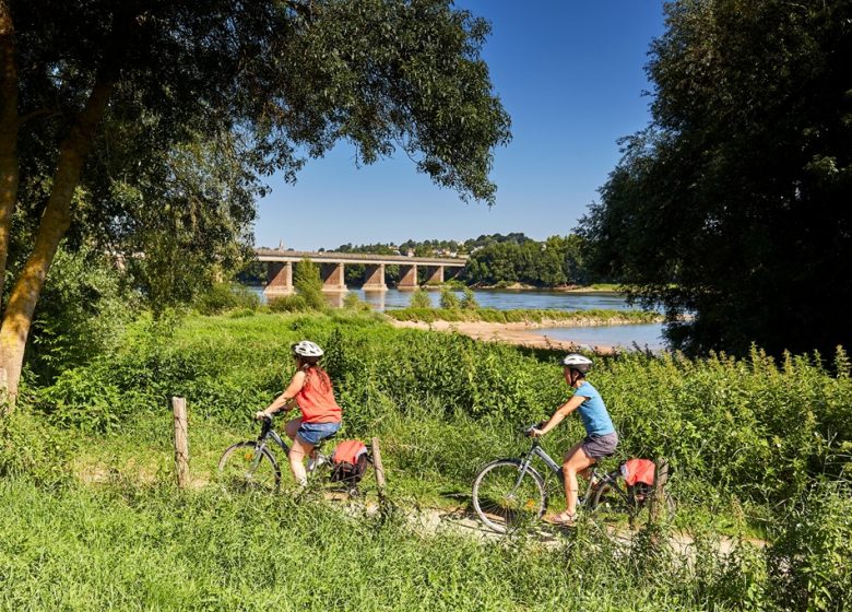 Location de vélos à l’Office de Tourisme de Champtoceaux