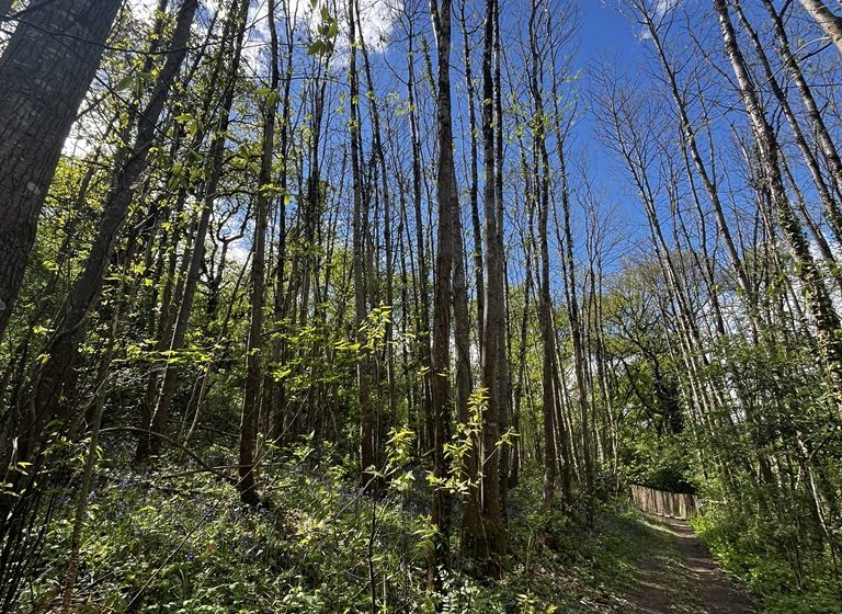 Balade “Sentier de la Garenne”