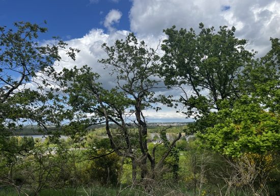 Balade “Sentier de la Garenne”