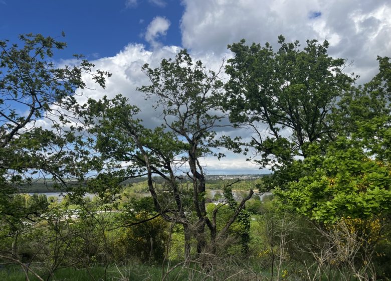 Sentier de la Garenne à Montjean-sur-Loire