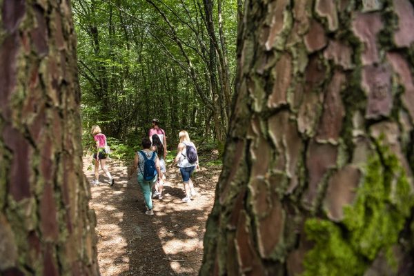 La croix de Leppo via la randonnée "Entre forêt et bocage"