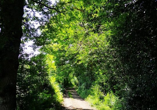 Randonnée “De la Grossière à Tiffauges”