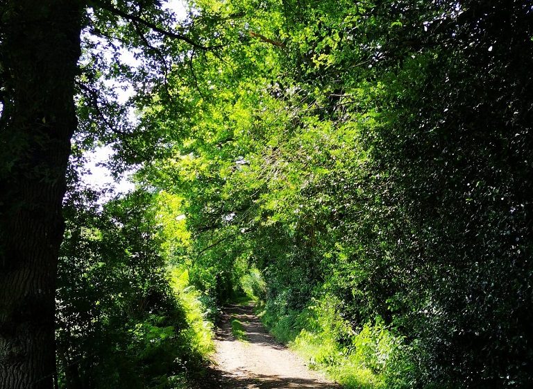 RANDONNÉE “DE LA GROSSIÈRE À TIFFAUGES”