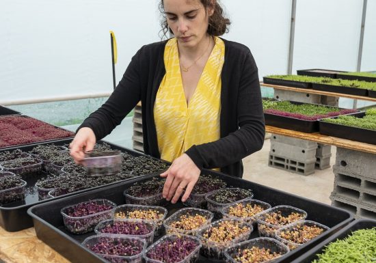 Ferme Micropousse “Il était une graine”