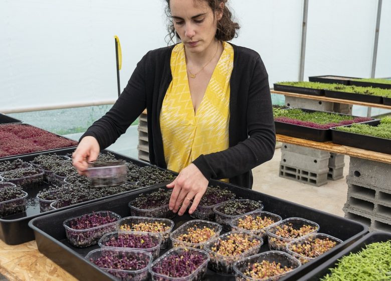 FERME MICROPOUSSE IL ÉTAIT UNE GRAINE