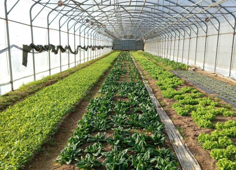 La Ferme du Cormier, maraicher biologique