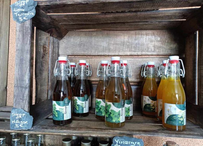Micro-brasserie So’Tiz Ben’Craft