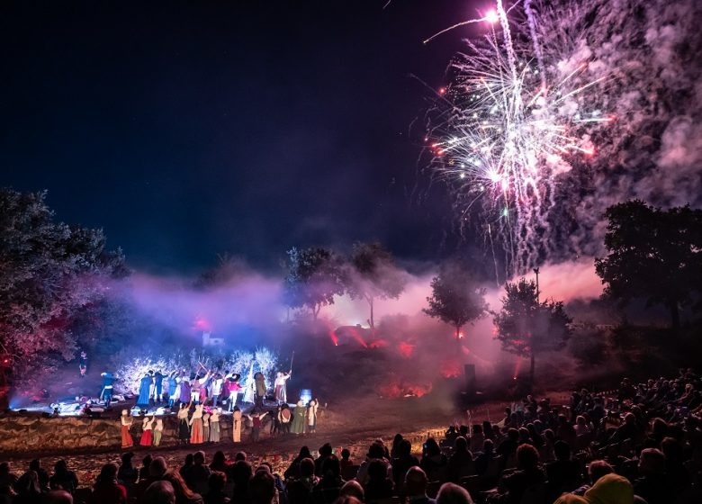 Spectacle son & lumière “Torfou la bataille”