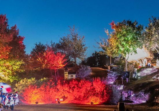 Spectacle son & lumière “Torfou la bataille”