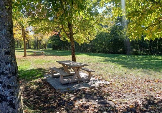 Aire de pique-nique “Tue vache”