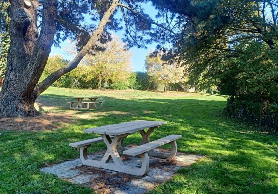 Aire de pique-nique Vallée de la Noue