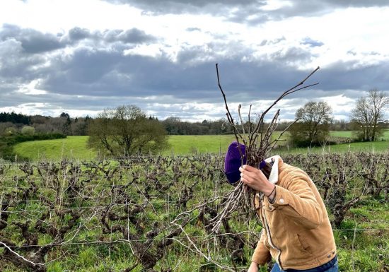 Domaine de l’Alliance