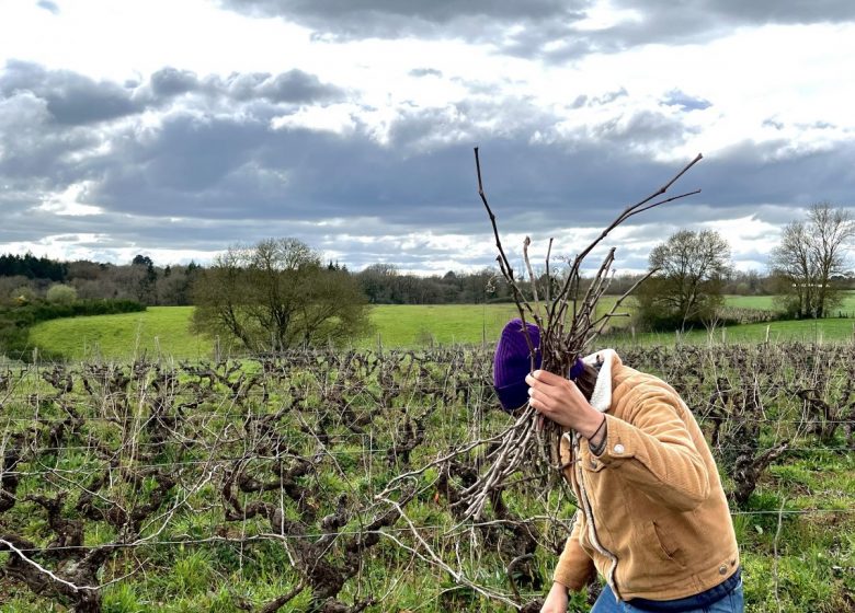 Domaine de l’Alliance
