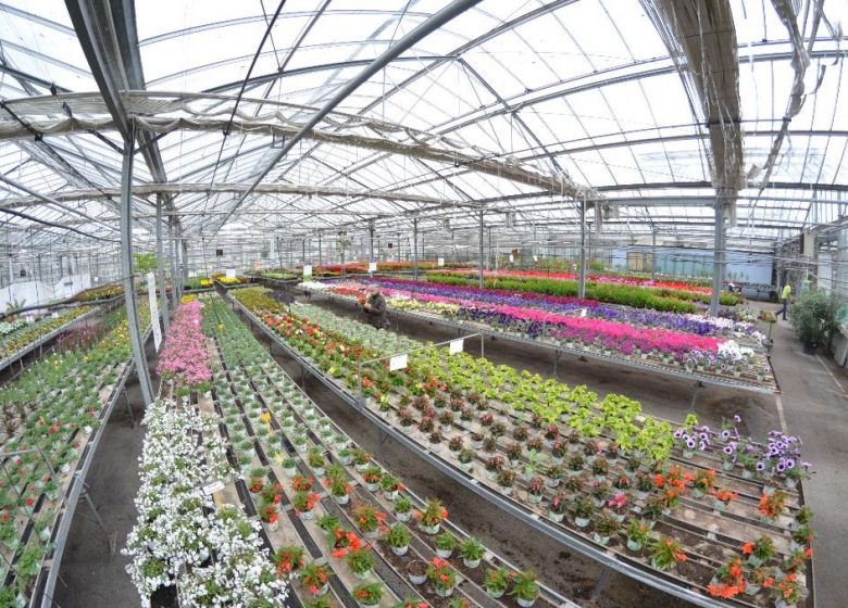 Pépinière Tijou-Cailleau