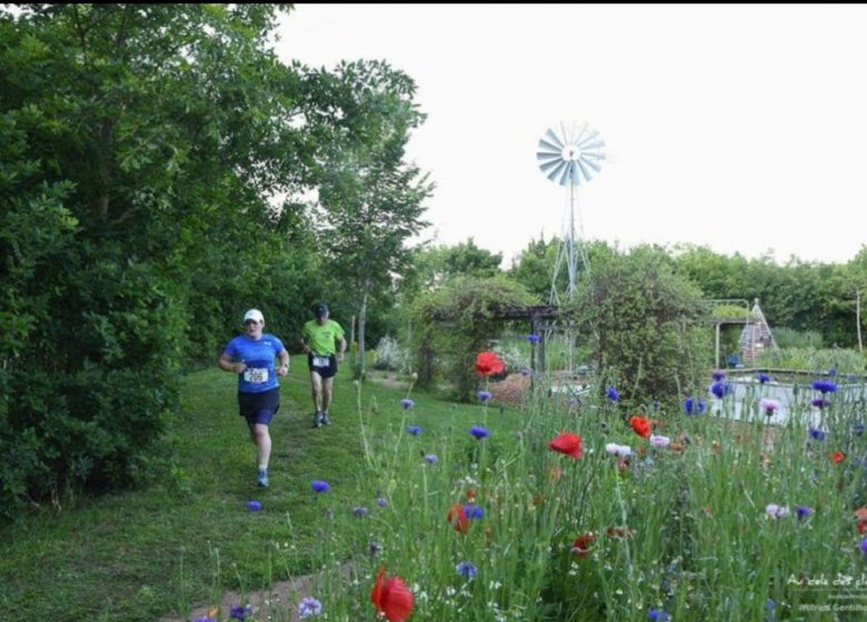 Trail des fours à chaux à Montjean-sur-Loire