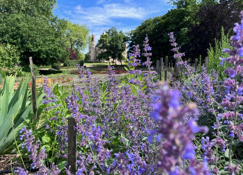 Rendez-vous aux jardins au Château de la Baronnière