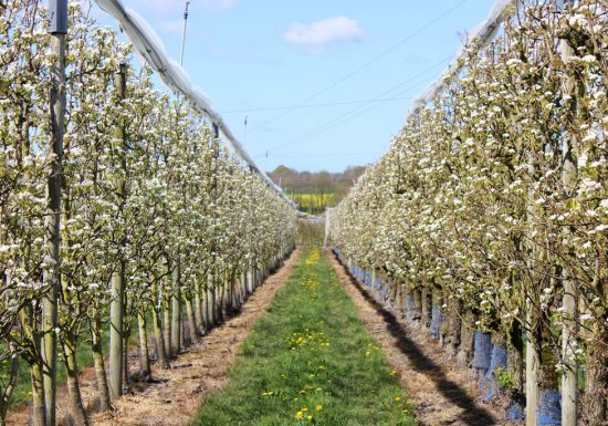 Les Vergers de La Chenillère
