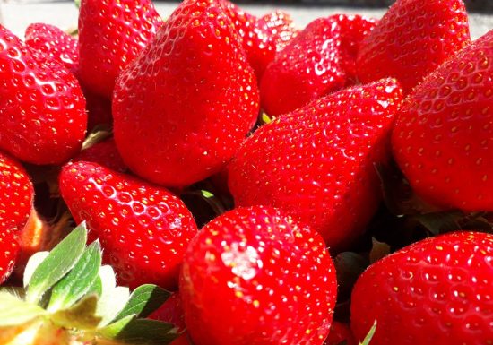 Les Vergers du Pontonnet