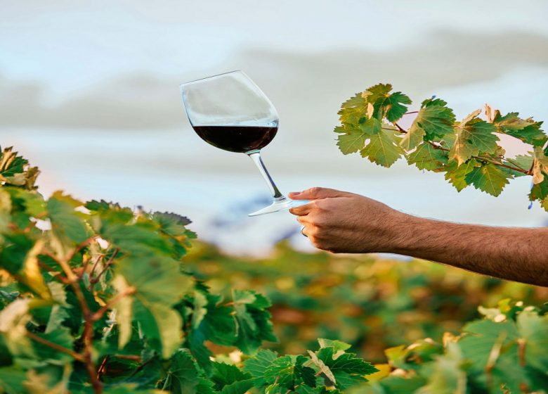 Domaine Delaunay : Visite et dégustation dans un Domaine Viticole