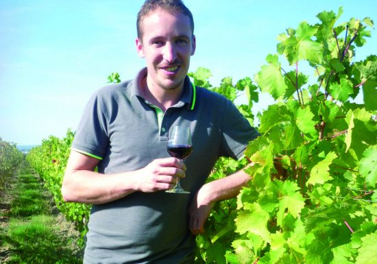 Les Vignes de l’Alma