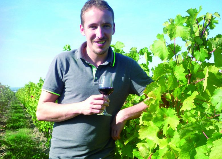 Les Vignes de l’Alma