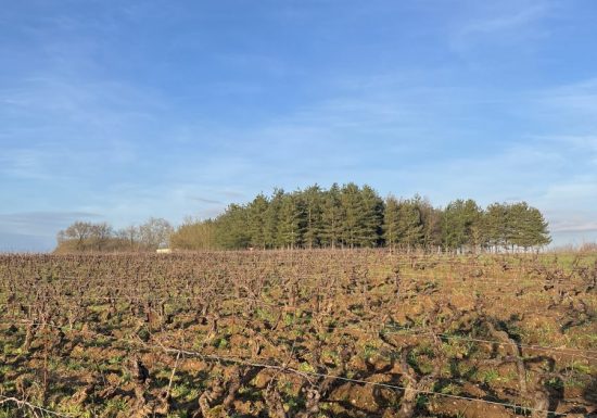 Domaine de l’Alliance