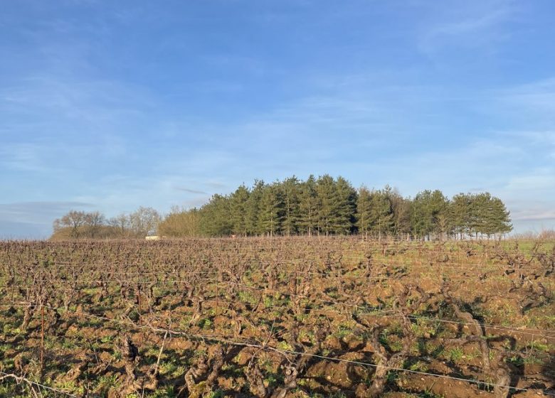 Domaine de l’Alliance