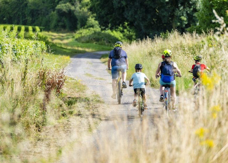 La Loire à Vélo, de Champotceaux à Liré “Entre boire et histoire”