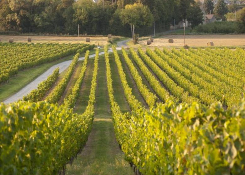 GR3®, de La Pommeraye à Champtoceaux