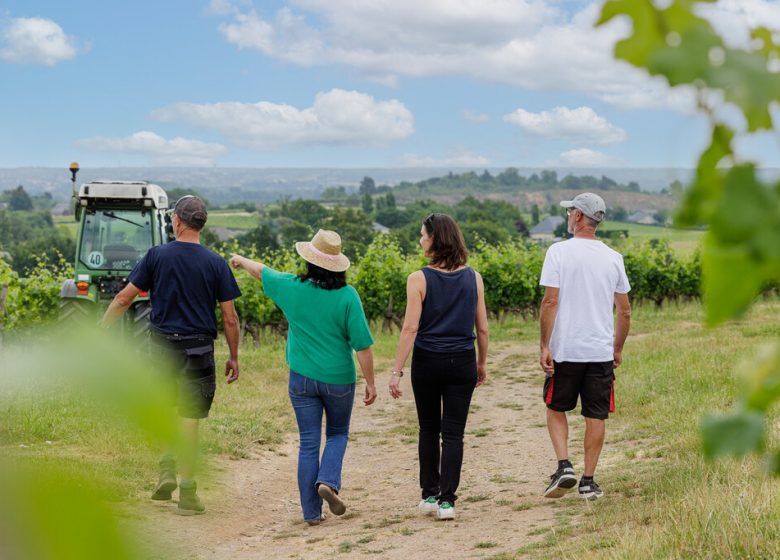 Vignoble Musset-Roullier
