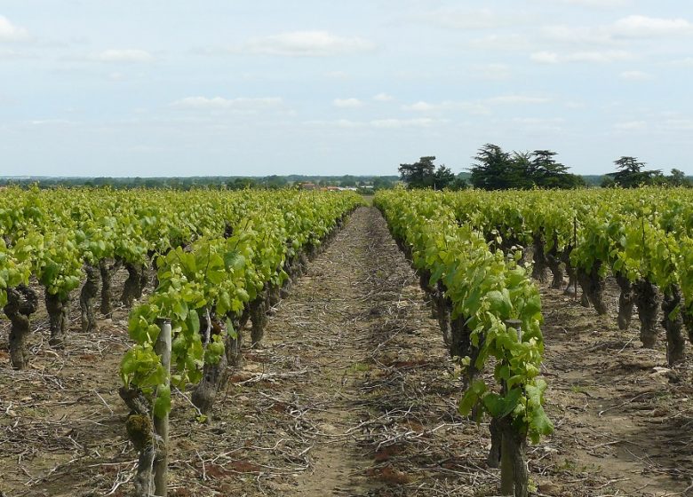 DOMAINE DE LA GARNIÈRE