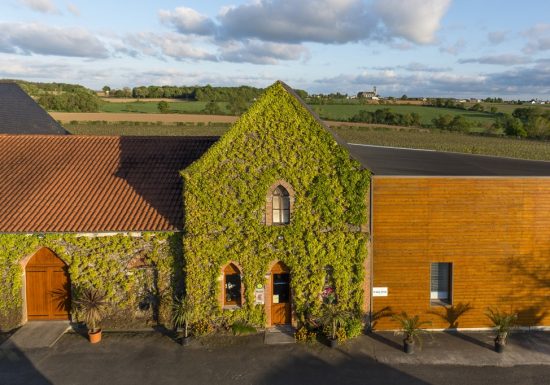 Les Vignes de l’Alma