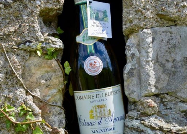 DOMAINE DU BUISSON