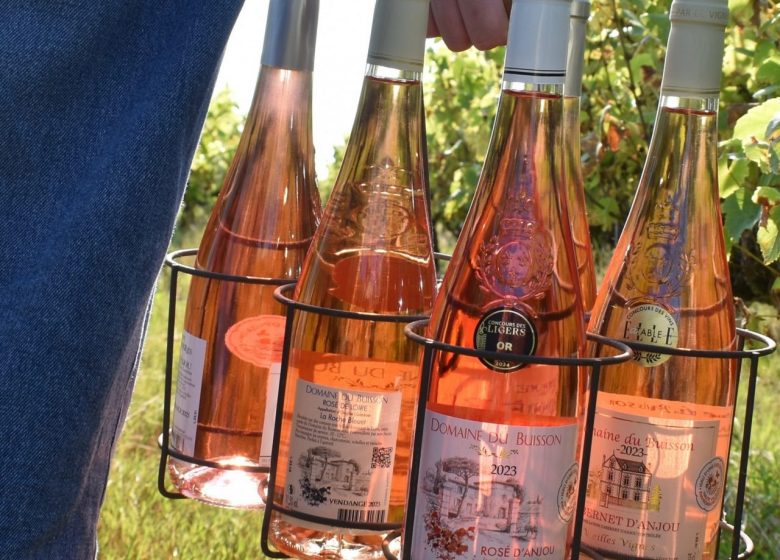 DOMAINE DU BUISSON