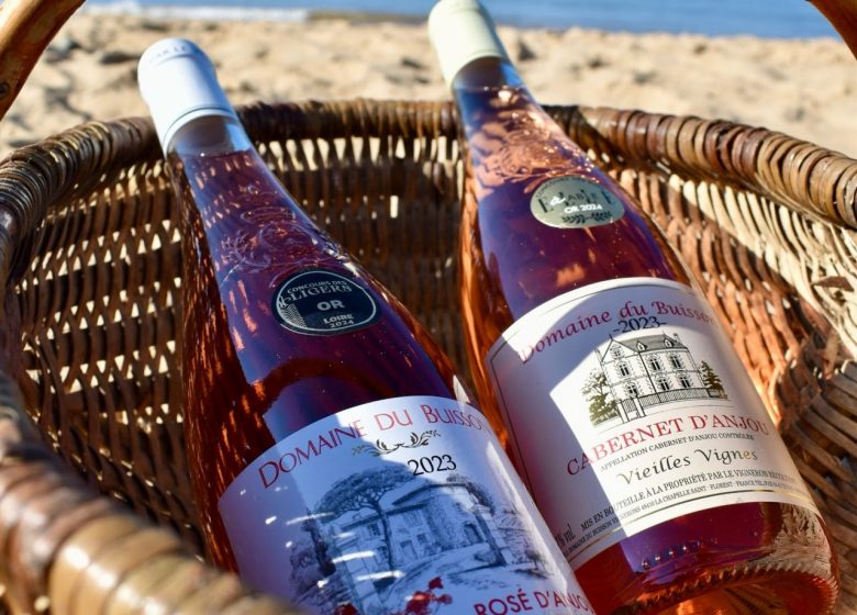 DOMAINE DU BUISSON