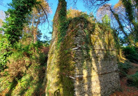 Visite guidée du parc du château de la Colinière, sur les traces de Chateauceaux