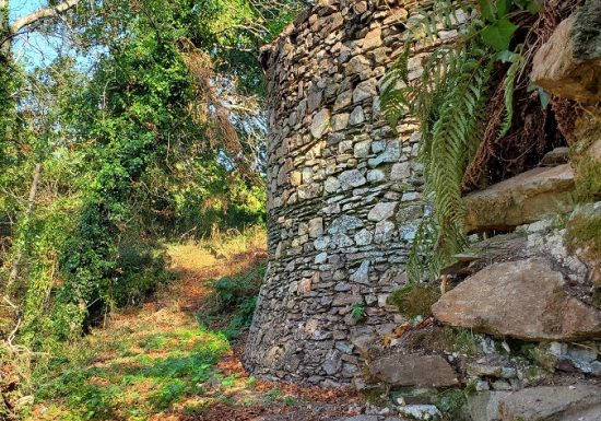 Visite guidée du parc du château de la Colinière, sur les traces de Chateauceaux