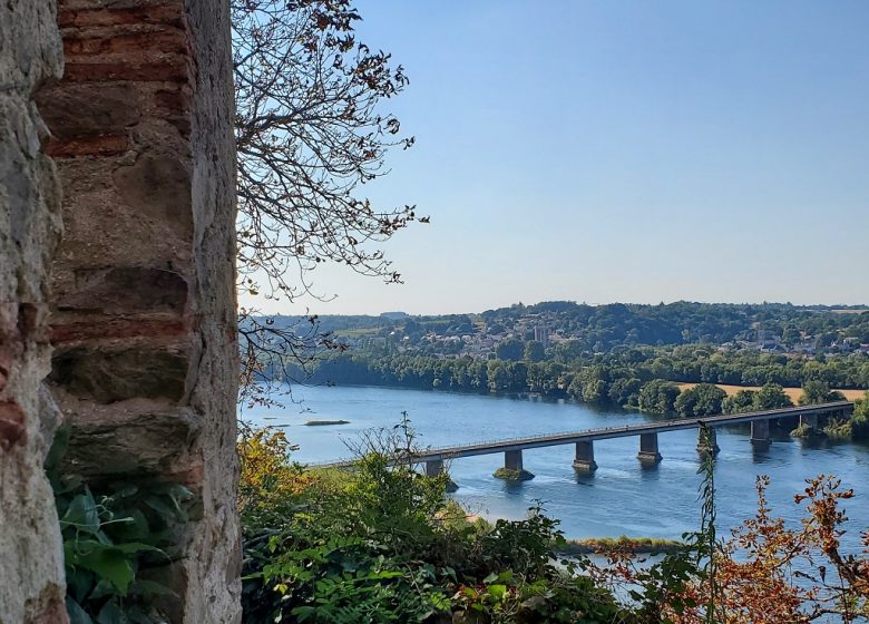 VISITE GUIDÉE DU PARC DU CHÂTEAU DE LA COLINIÈRE, SUR LES TRACES DE CHATEAUCEAUX