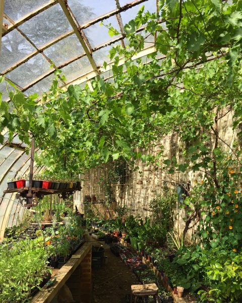 Jardins de la Houssaye