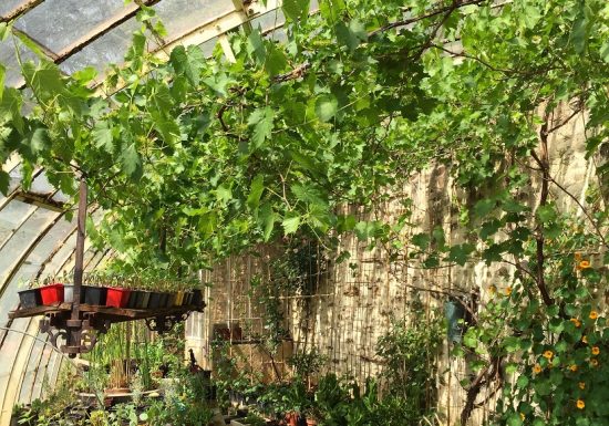 Les Jardins de la Houssaye