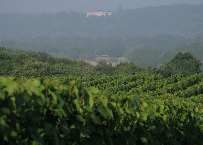 Domaine Merceron Martin